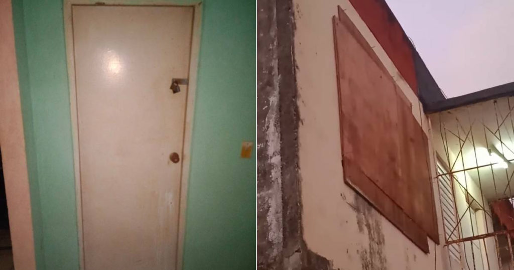 Cubano desesperado tras invasión de 200 murciélagos en su casa de Bauta