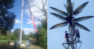 ETECSA instala radiobase con forma de palmera en La Habana