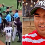 Luis Silva sobre violencia en la Serie Nacional de Béisbol: “Un reflejo de cómo está la sociedad cubana”